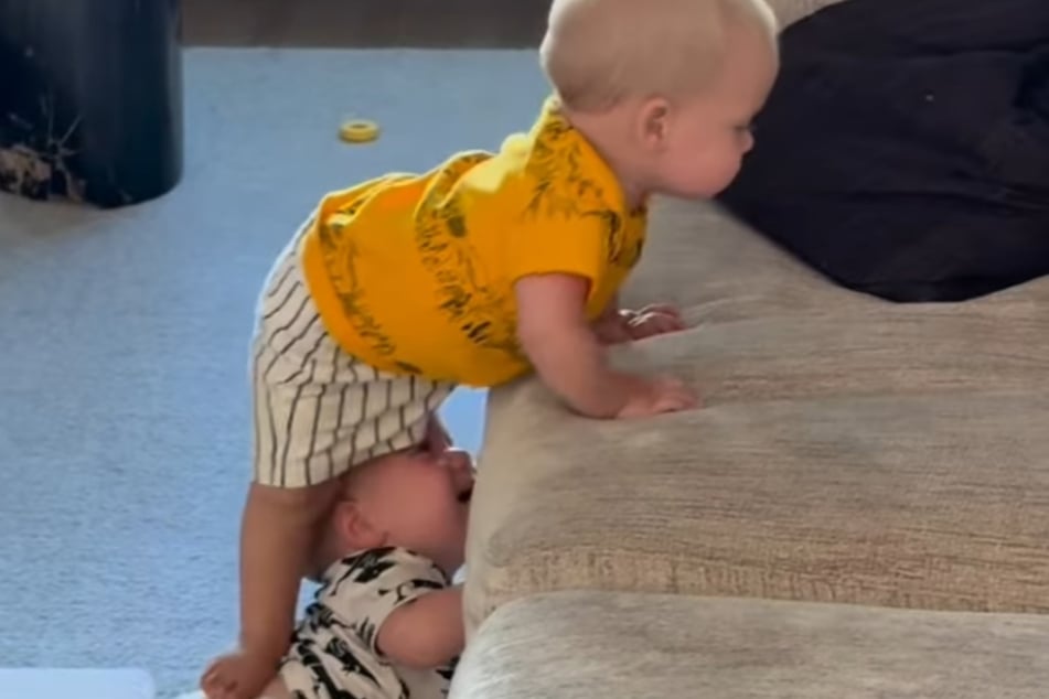 Der eine leidet, der andere klettert: Dank der brüderlichen Räuberleiter schafft es der Drilling aufs Sofa.