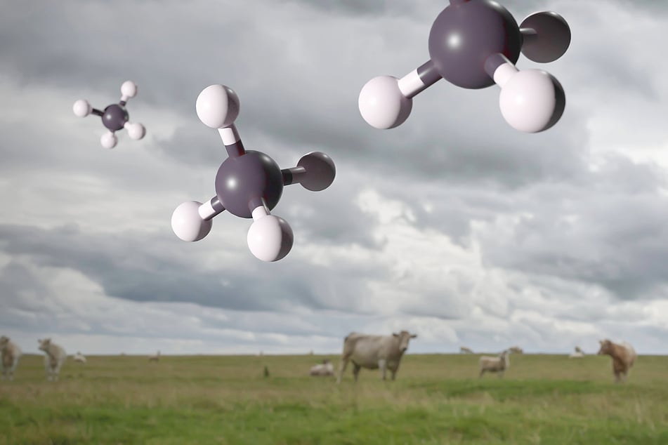 Methane is a molecule made of one carbon and four hydrogen atoms.