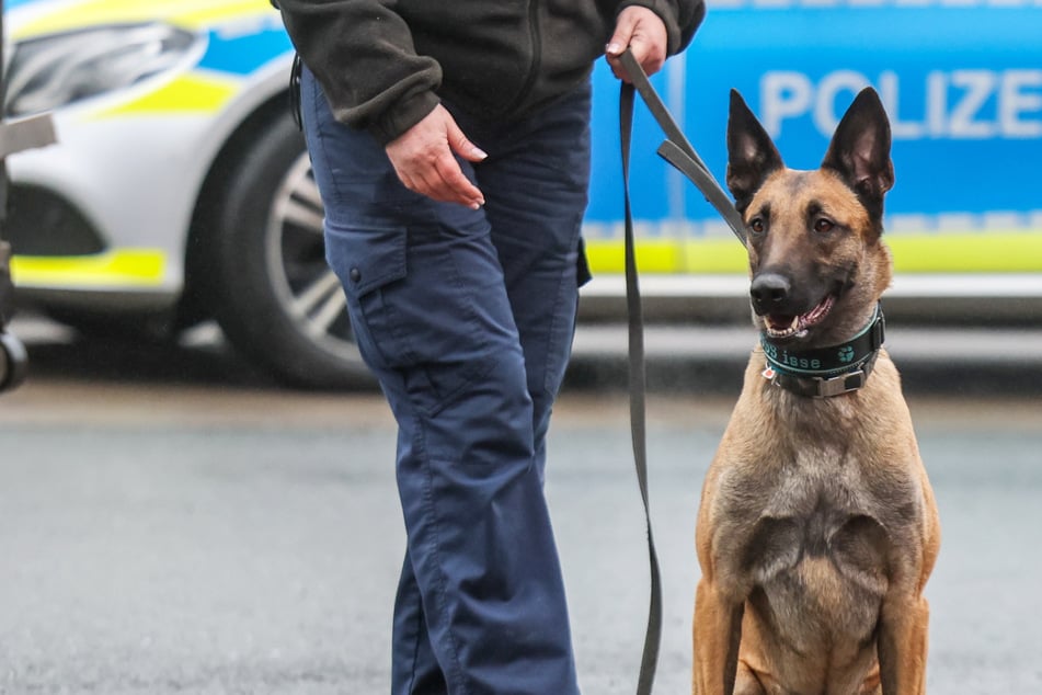 Die attackierten Polizisten riefen weitere Beamte zur Unterstützung hinzu, diese brachten einen Polizeihund mit. (Symbolfoto)
