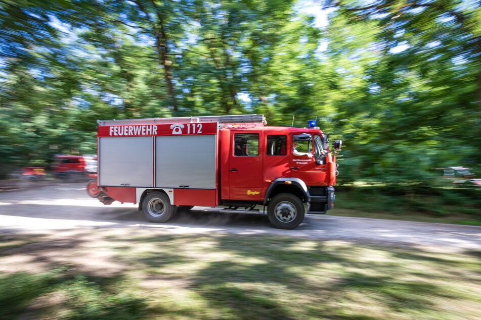 Auch in der aktuellen Waldbrandsaison hatten die Brandenburger Feuerwehren bislang alle Hände voll zu tun. (Symbolfoto)