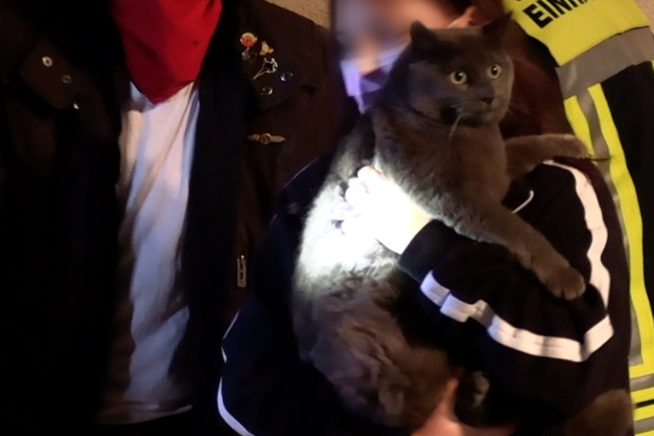 Glücklich konnten die Besitzer ihren Kater wieder in die arme schließen.