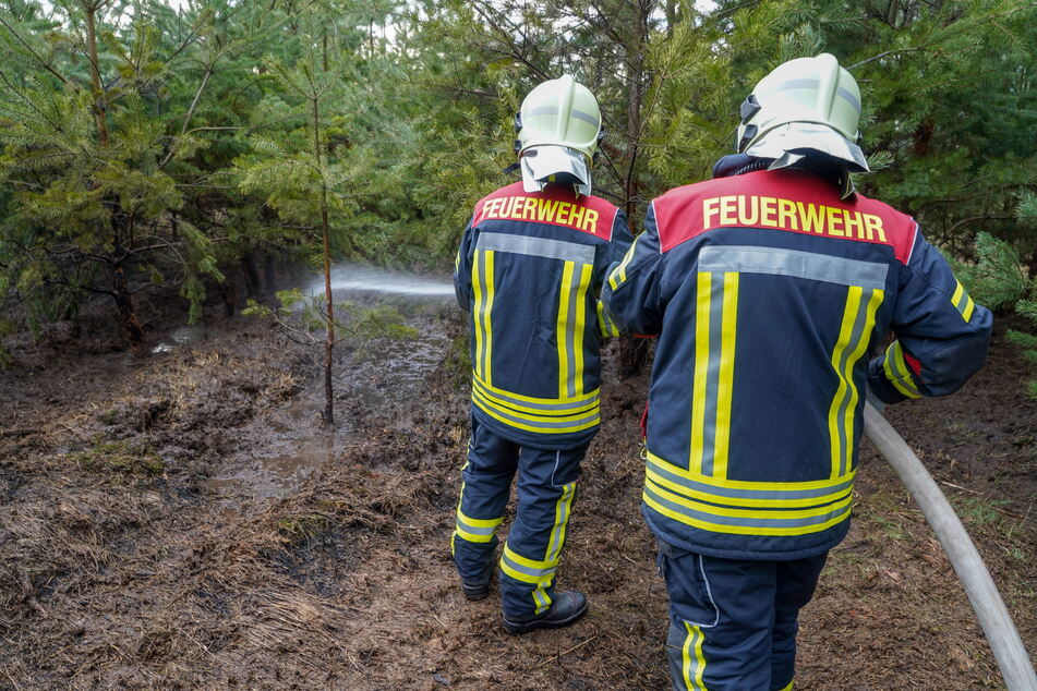 Ende März mussten die Kameraden der Feuerwehren Königswartha und Umgebung zu einem Waldbrand in Königswartha ausrücken. Eine weitere Ausbreitung der Flammen konnte verhindert werden.