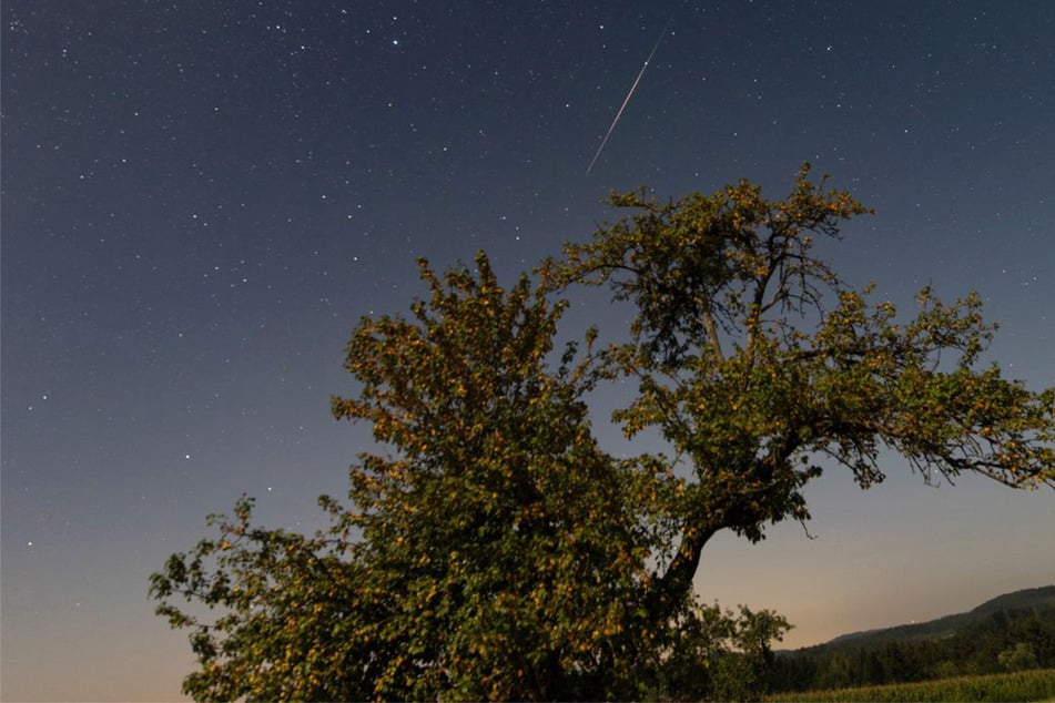 Sternschnuppen: Wünsche frei: Alles zum Sternschnuppen-Spektakel im Südwesten