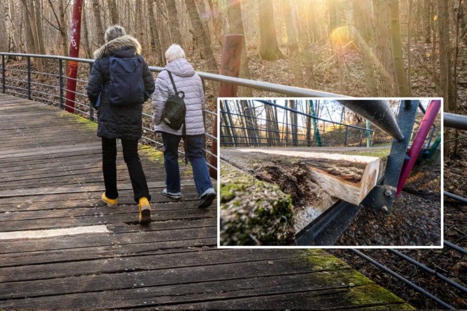 Marode Holzbrücke in Chemnitz: Stadt reagiert auf TAG24-Hinweis