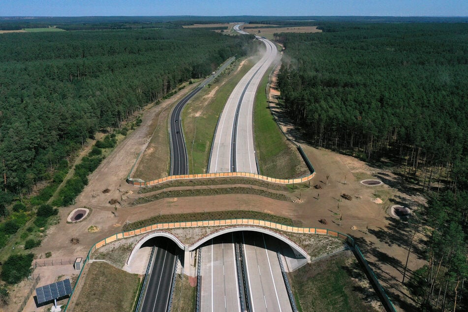 Ein Teilstück der Autobahn 14 und eine Wildtier-Überführung zwischen den Anschlussstellen Colbitz und Tangerhütte.
