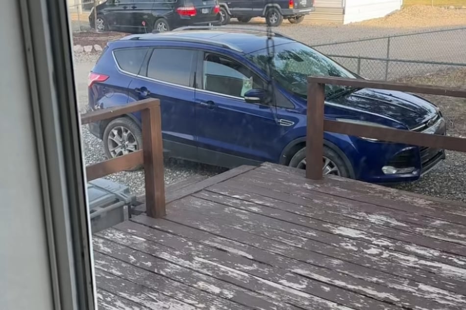 Das Fenster des Autos war nicht ganz geschlossen - eine Einladung für diesen ungebetenen Gast.