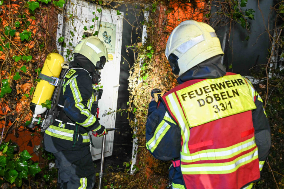 Die Einsatzkräfte mussten das stark zugewachsene Haus erst von dem Grün befreien.