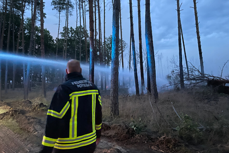 Feuerwehrleute kämpfen gegen die Flammen. Etwa 40 Hektar stehen in Flammen.