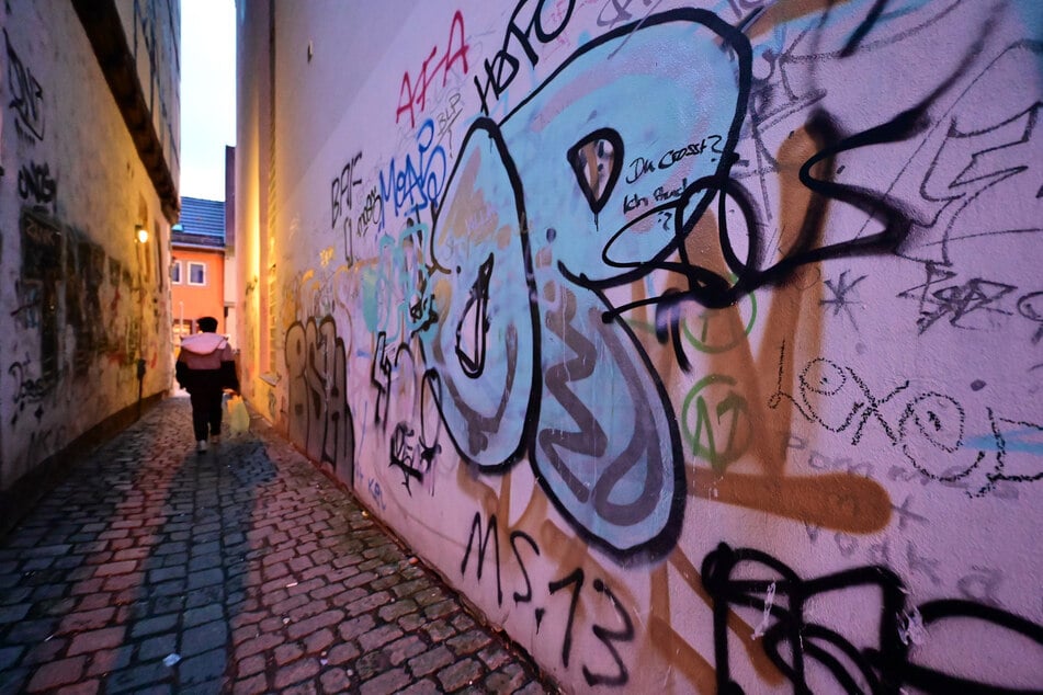 Besonders betroffen ist der Stadtteil Dessau-Nord. (Symbolbild)