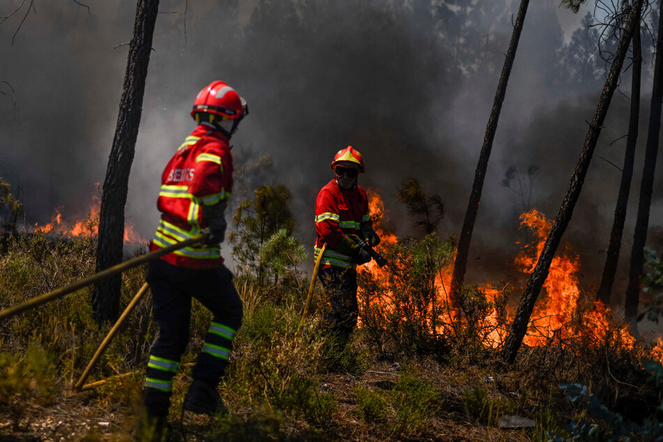 Verheerende Waldbrnde
                      suchen Portugal heim. Besonders im Sden des
                      Landes ist die Lage dramatisch.