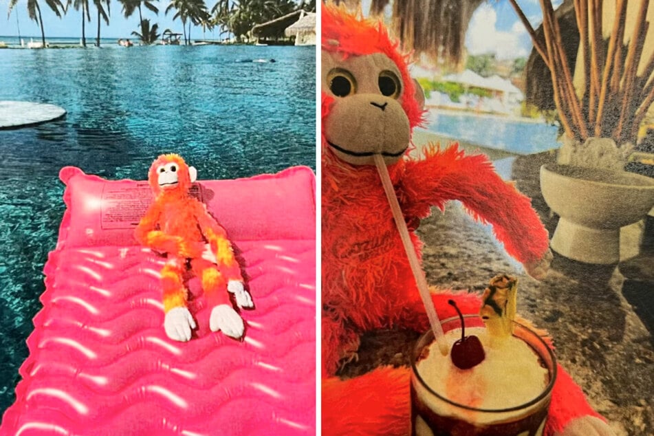 Der Affe eines Kindes aus den USA ging im Mexiko-Urlaub verloren. Die Hotel-Mitarbeiter fanden ihn und bereiteten ihm eine schöne Zeit.