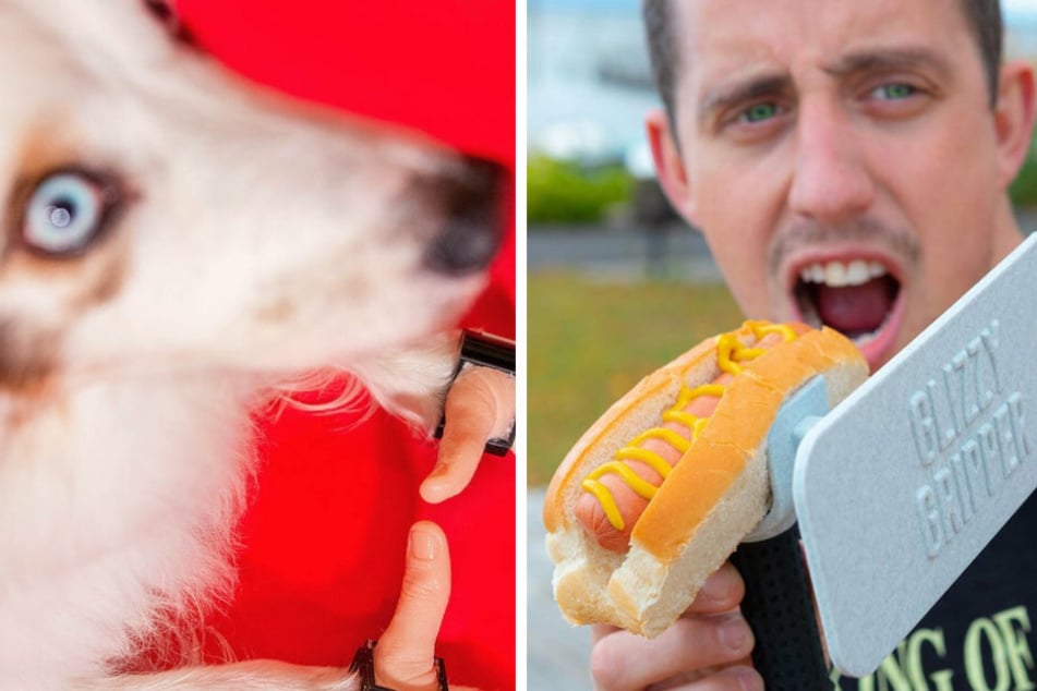 Seine bekannteste Erfindung: Der "Glizzy Gripper" schafft Privatsphäre beim Genuss eines Hotdogs (r.). Mit dem "Puppy Thumb" kann ein Hund nachempfinden, wie es ist, zwei Finger zu besitzen.