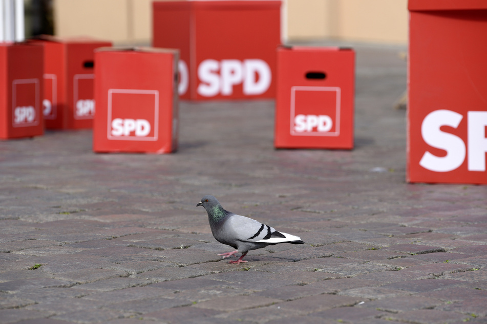 Scheiben am Wahlkreis- und am Parteibüro der SPD in Suhl wurden zerstört. (Symbolbild)