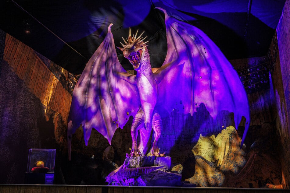 Büßte auf dem Transportweg magische Kräfte ein: Der mächtige Ungarischer-Hornschwanz-Drache musste nach Beschädigungen am Flügel in Dresden geflickt werden.