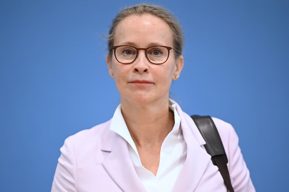 Die angedachte Richter-Wahl von Frauke Brosius-Gersdorf (54, SPD) entwickelte sich zur Regierungskrise.