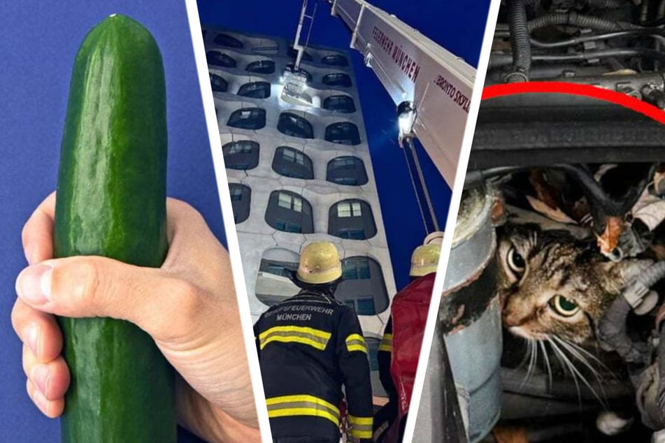 Nacktyoga, Gurke, Katze im Paket: Bayerns skurrile Rettungseinsätze 2025