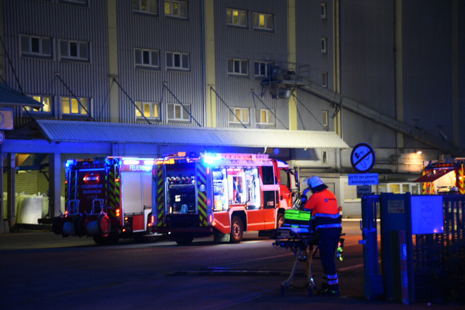 Die Feuerwehr bekam den Brand schnell unter Kontrolle.