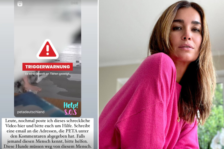 Jana Ina Zarrella (46) hat ein PETA-Video mit Triggerwarnung bei Instagram geteilt.