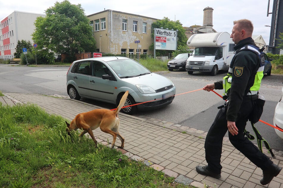 Teilweise legen Herr und Hund auf Spurensuche kilometerlange Strecken zurück.