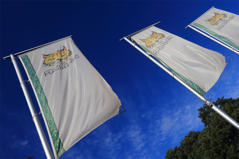 Nach dem Frühstück können die Besucher den Zoo erkunden.