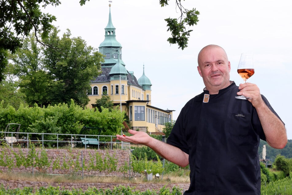 Marco Stelter (47) will Sachsens erster Weinkönig werden.