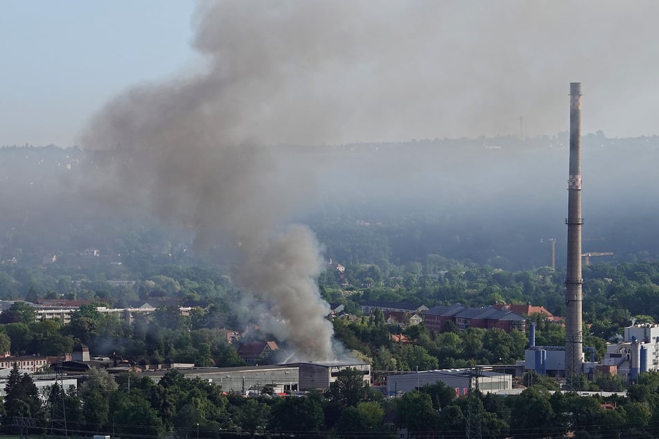 Die Rauchsäule war kilometerweit sichtbar: Im Mai brannte eine Müllhalle in Großzschachwitz.