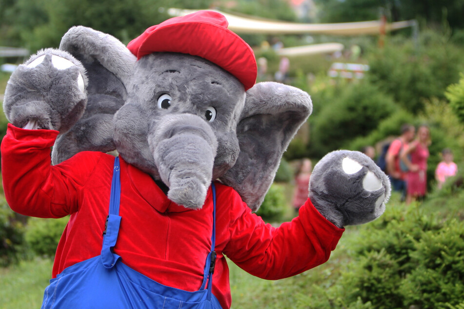 In der Sächsischen Schweiz wird am Sonntag unter anderem das schönste Elefanten-Kostüm prämiert.