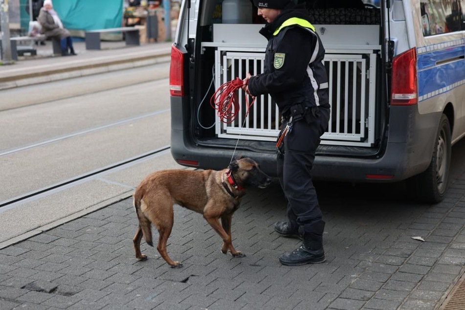 Mit einem Polizeispürhund suchten die Beamten nach Beweismitteln vor Ort.