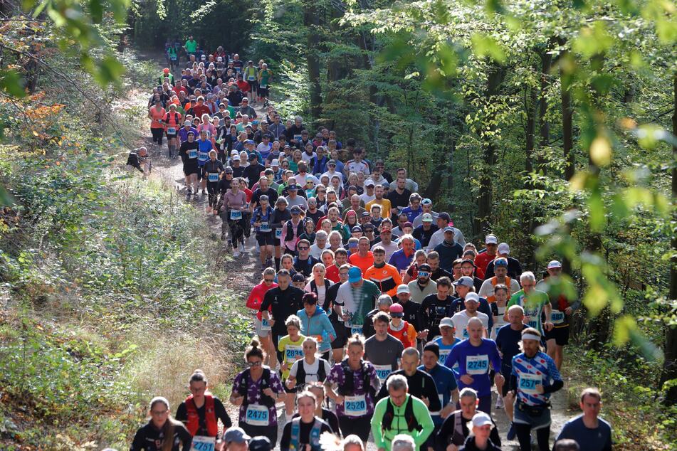 Rund 4000 Menschen nahmen am Samstag am Harz-Gebirgslauf teil.