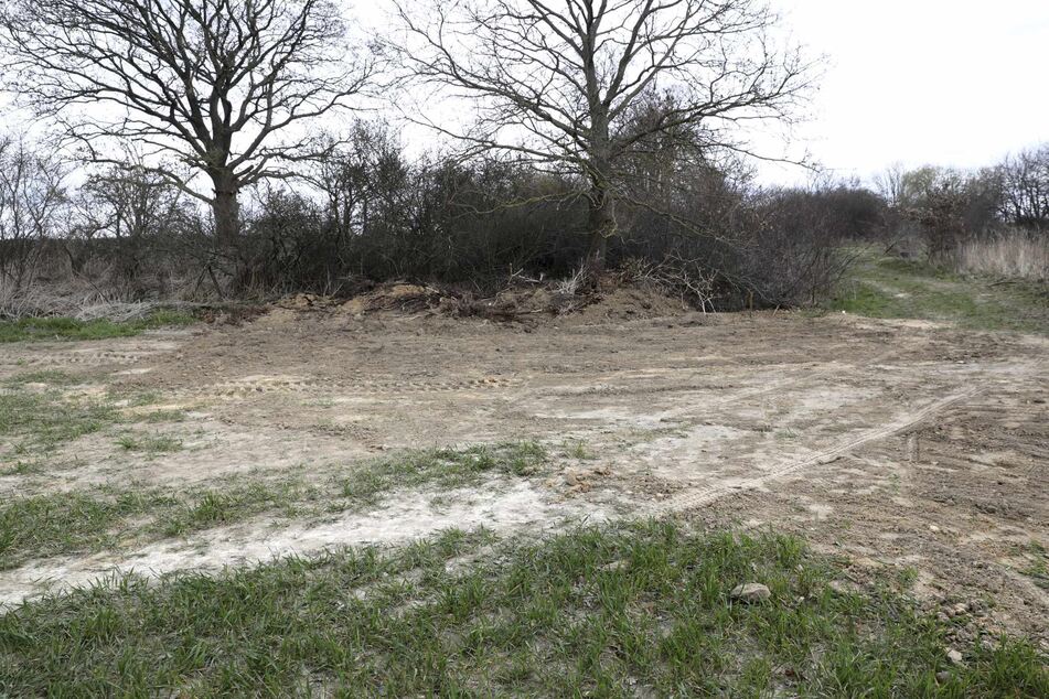 Auf einem Feld bei Roggentin wurden die drei Leichen gefunden.
