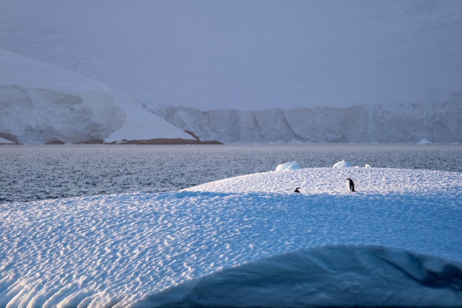 Increasing tourism and research projects are polluting Antarctica's environment.