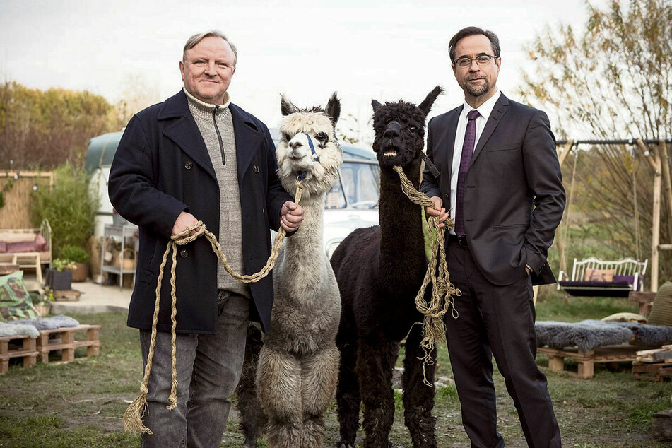 Frank Thiel (Axel Prahl, 61) und Professor Boerne (Jan Josef Liefers, 56) machen auf dem "Erlenhof" interessante Bekanntschaften.