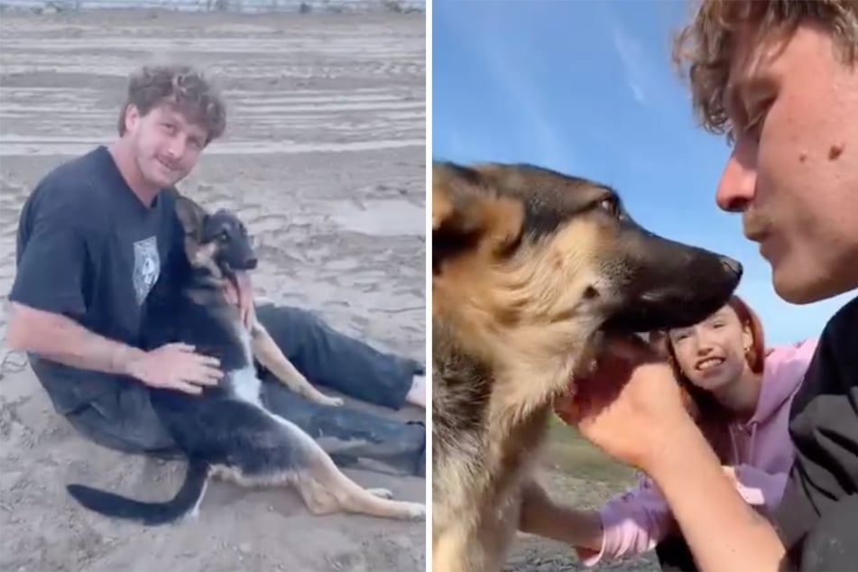 Tierschützer und Influencer Malte Zierden (31) hat seinen Instagram-Followern am gestrigen Sonntag von Hund Toniy erzählt, der als Welpe von einem Auto angefahren wurde.