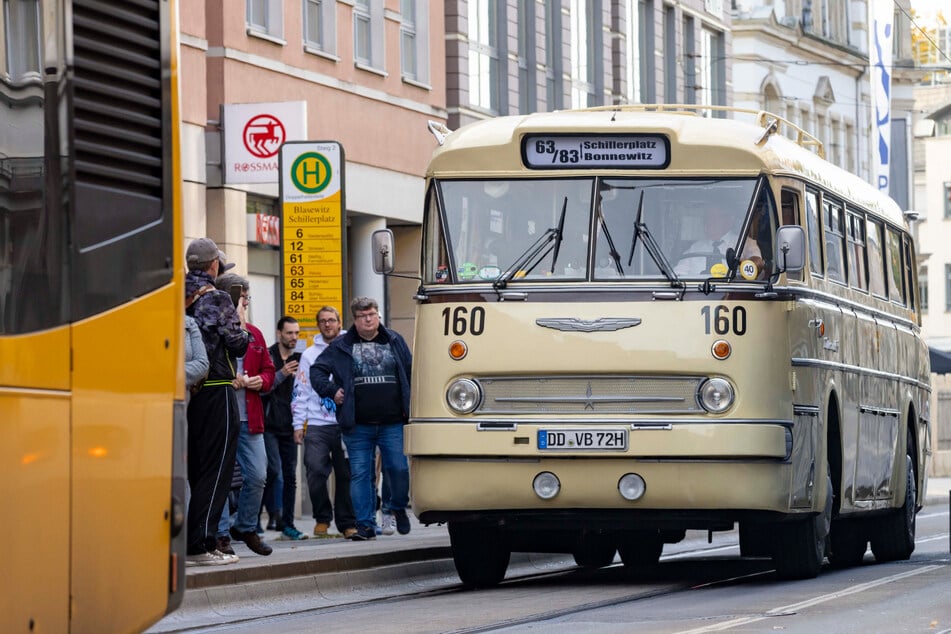 Dresden: Großer Ansturm auf Oldtimer: Ikarus-Busse fahren wieder durch Dresden