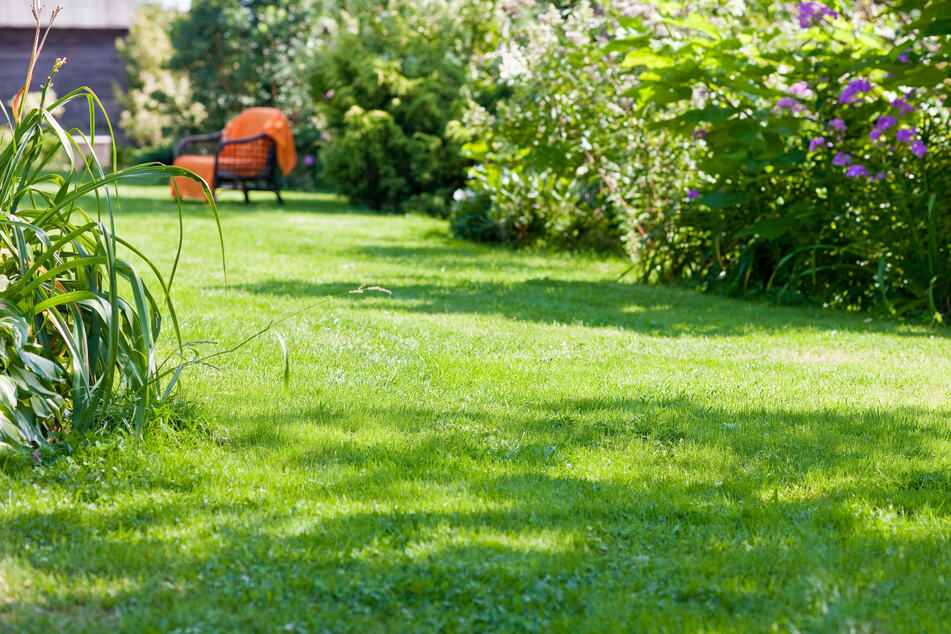 Ein gepflegter Rasen ist das Ergebnis regelmäßiger Pflege und Aufmerksamkeit.