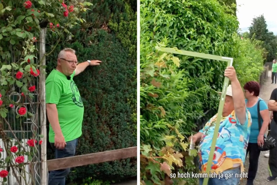 Einige Hecken und Koniferen in der Anlage sind viel zu hoch.