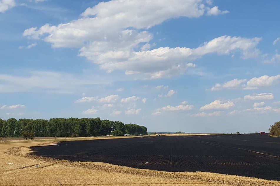 Der Brand soll sich ohne Fremdeinwirkung entzündet haben.