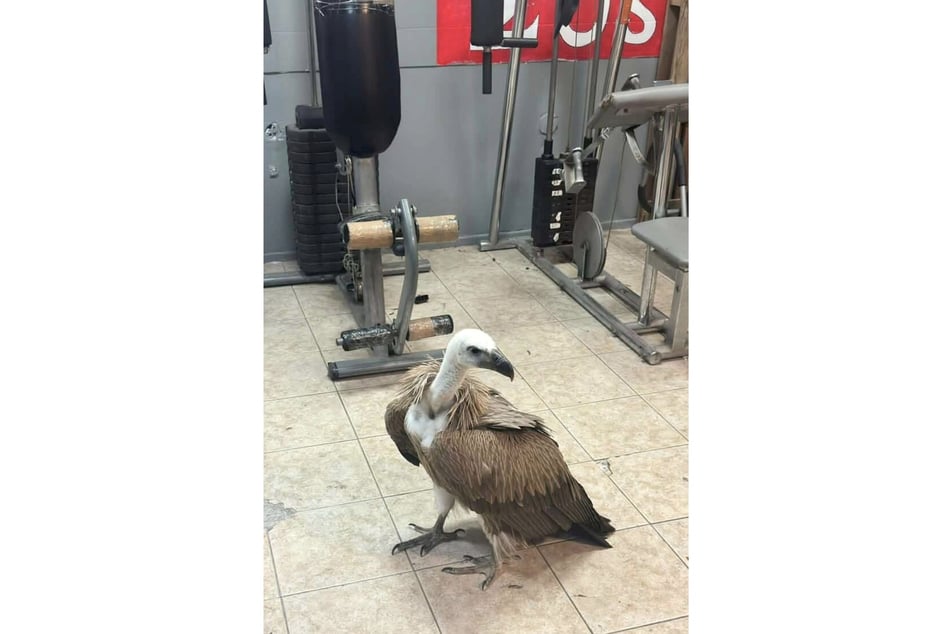 Lust auf ein Training im Flughafenfeuerwehr-Gym?