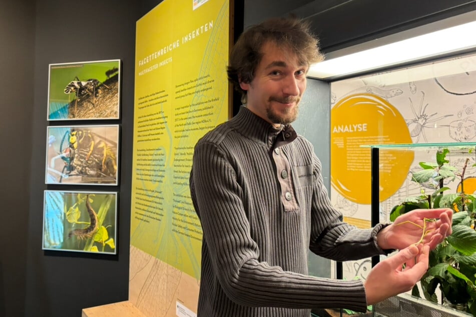 Raoul Lühmann, Volontär im Bereich der wirbellosen Zoologie, stellt sich allen Fragen zum Thema Insekten.