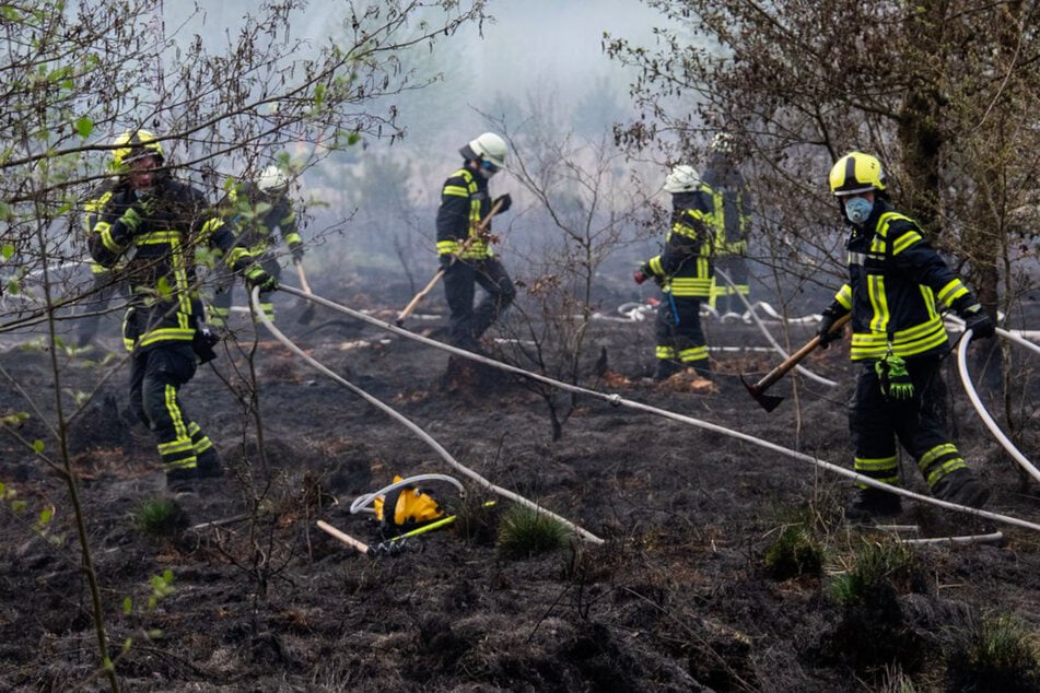 Nachdem die Einsatzkräfte Unterstützung angefordert hatten, konnte das Feuer schließlich gelöscht werden.
