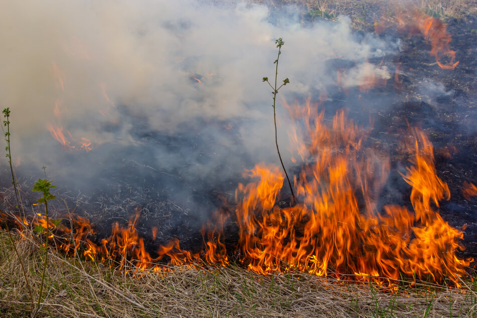 The McKinney fire exploded by nearly 20,000 on Saturday (stock image).