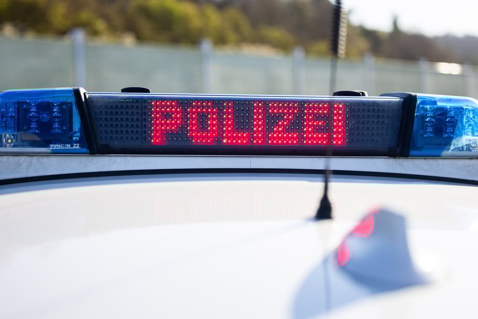 Welpen-Schmuggel aufgedeckt: Polizei stoppt illegalen Tiertransport auf A3