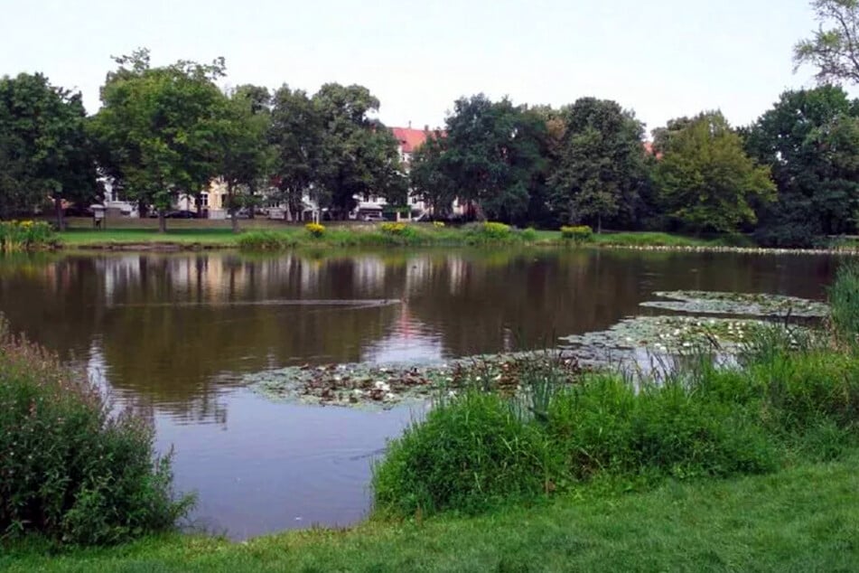 Leipzig: Alles für die Fußgänger: Eingang des Arthur-Bretschneider-Parks wird grün