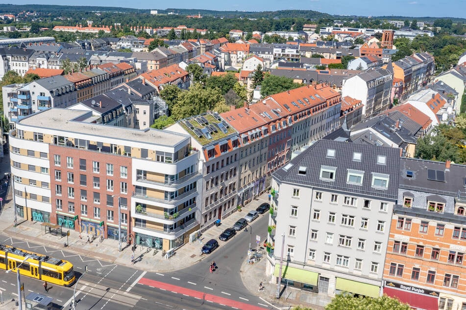 Der giftige Exot tauchte in einem Mehrfamilienhaus im Hechtviertel auf.