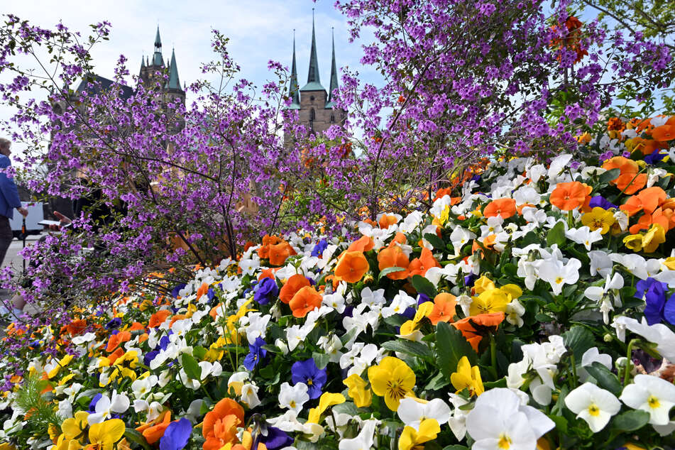 Zum Monatswechsel wird das Wetter in Thüringen fast frühsommerlich schön. (Archivbild)