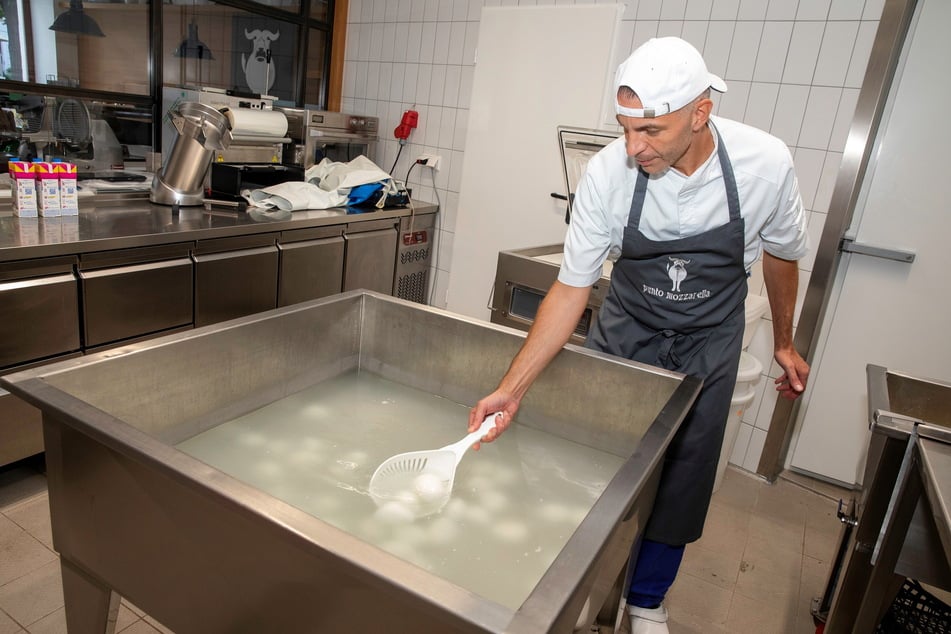 Casaro Giuseppe Cioffi schöpft die frischen Mozzarella-Kugeln aus dem Salzwasser, in dem sie vier Tage ruhen.