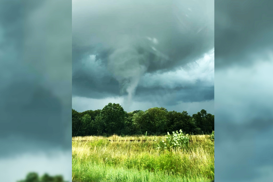 Ein Tornado fegte zwischen Sendenhorst und Albersloh in NRW über einen Wald.