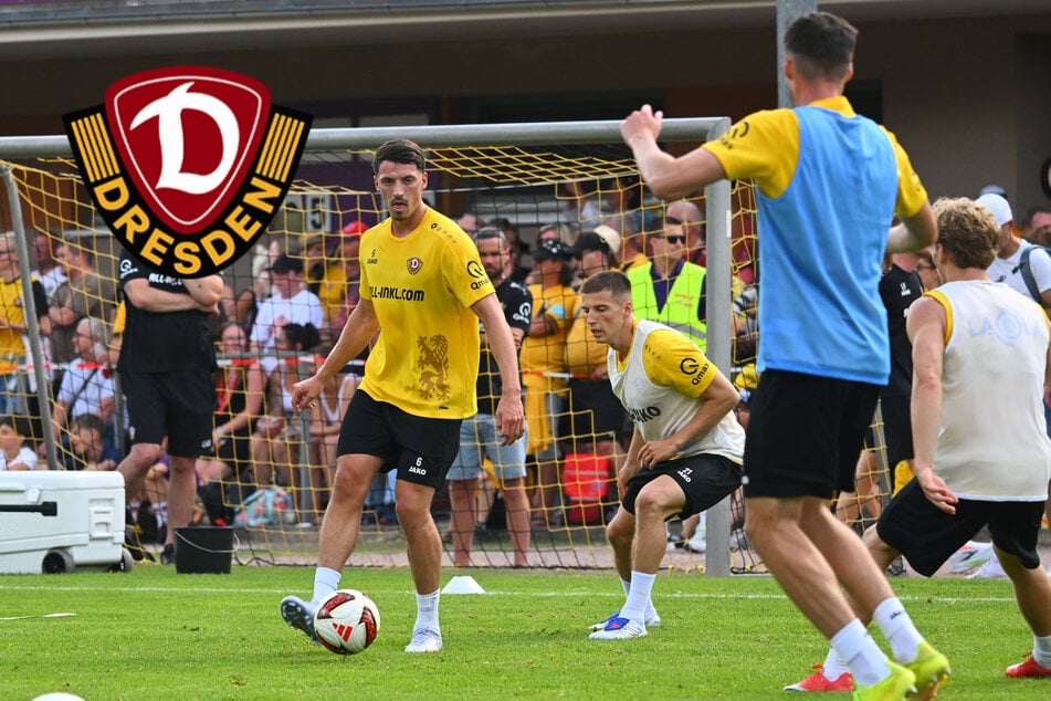 Dynamo-Dresden-Blog: So sieht die Woche bei der SGD aus