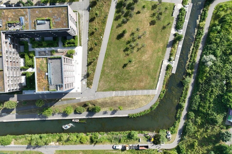 Der Karl-Heine-Kanal erstreckt sich auf einer Länge von rund 4,5 Kilometern im Leipziger Westen. Das verschiedenblättrige Tausendblatt wurde erstmals 1942 in ihm nachgewiesen.