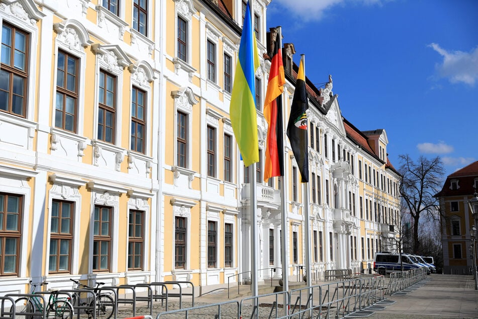 Die AfD in Sachsen-Anhalt will im Parlament erneut einen Kandidaten als Vizepräsidenten stellen. (Archivbild)